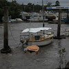 IMG_0321 CR2