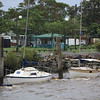 IMG_0311 CR2