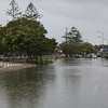 IMG_0116 CR2