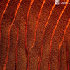 IMG_8220 Earth