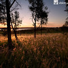 Lake Wivenhoe QLD