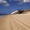 IMG_0224_Fraser Island QLD