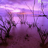 Fraser Island
