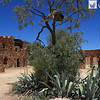 IMG_3850_Amigo's Castle