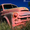 Pink Panther
